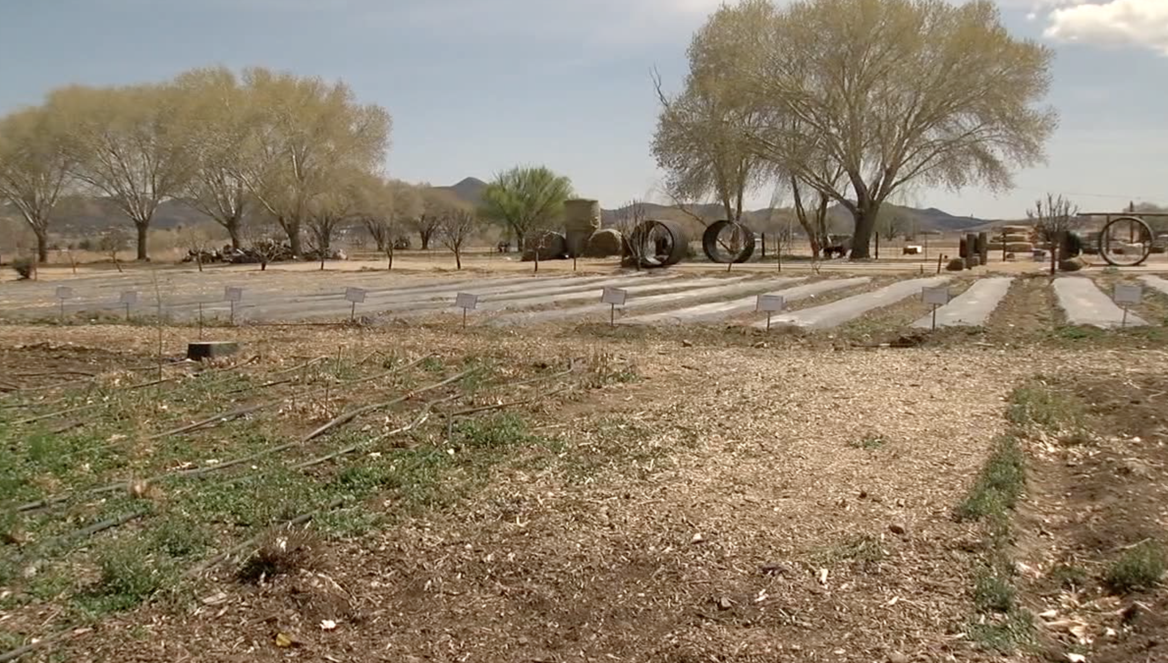 Mortimer Farms in Dewey