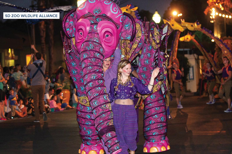 san_diego_zoo_nighttime_zoo.jpg