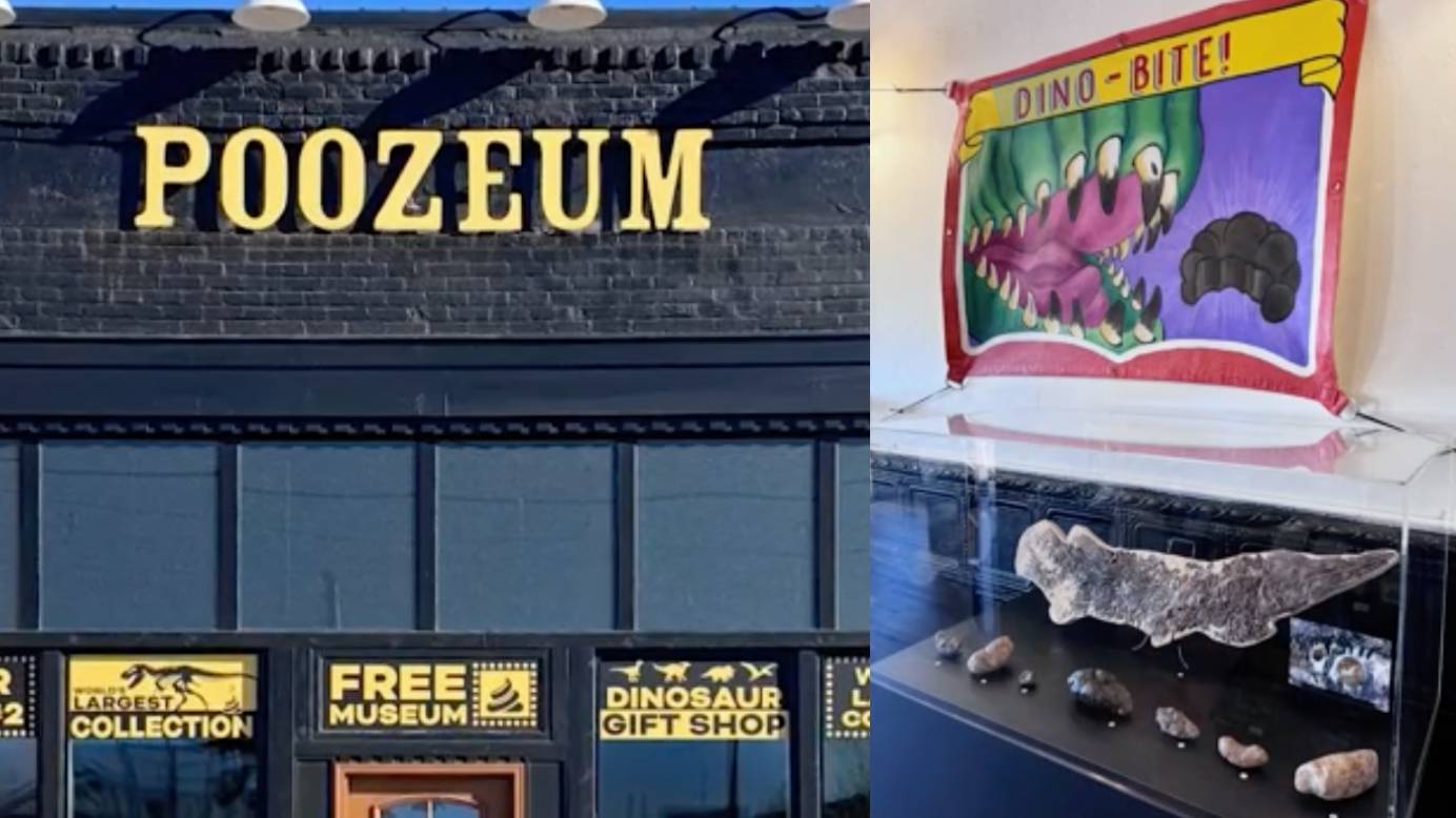 Owner of world’s largest collection of fossilized poop opens a museum called ‘The Poozeum’ in Williams, Arizona.