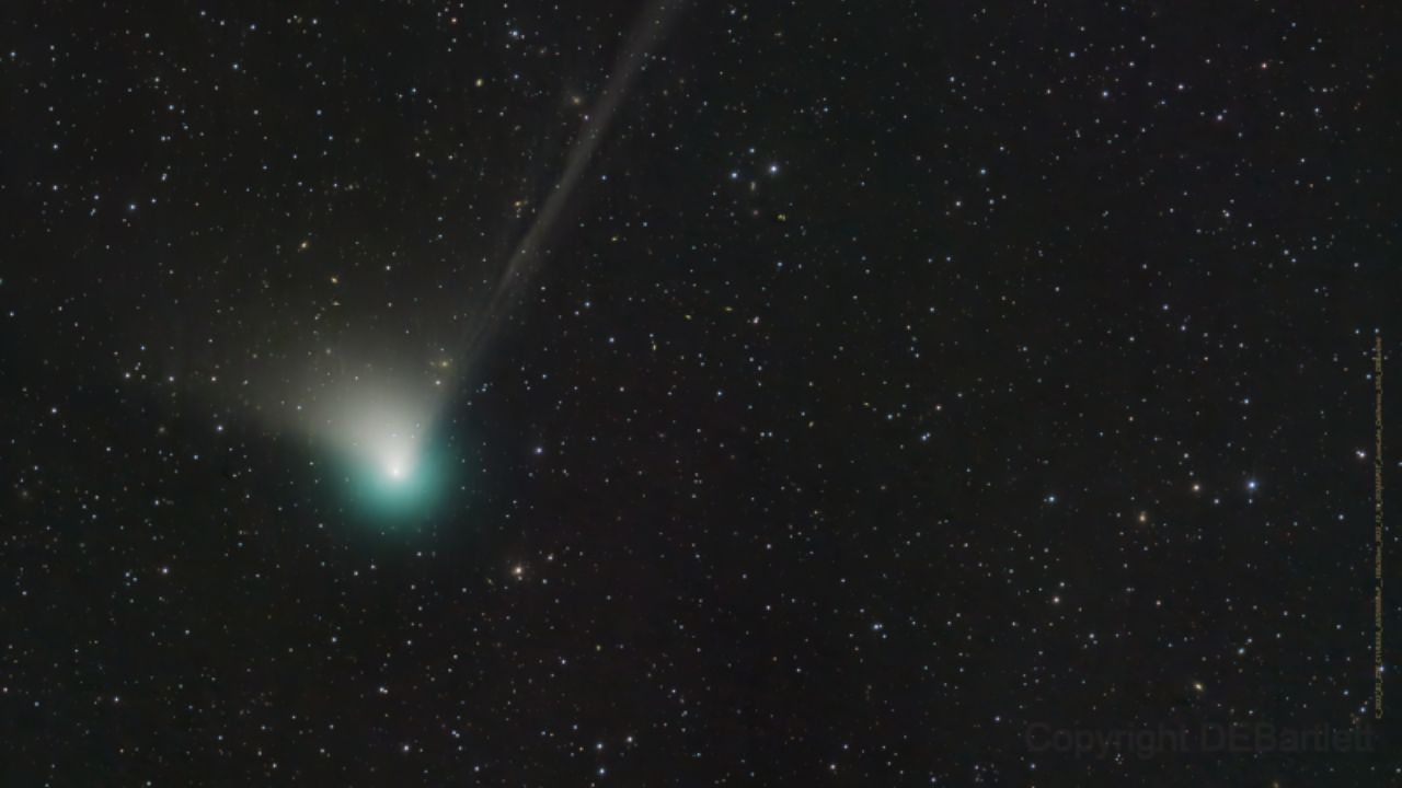 Green comet Dan Bartlett