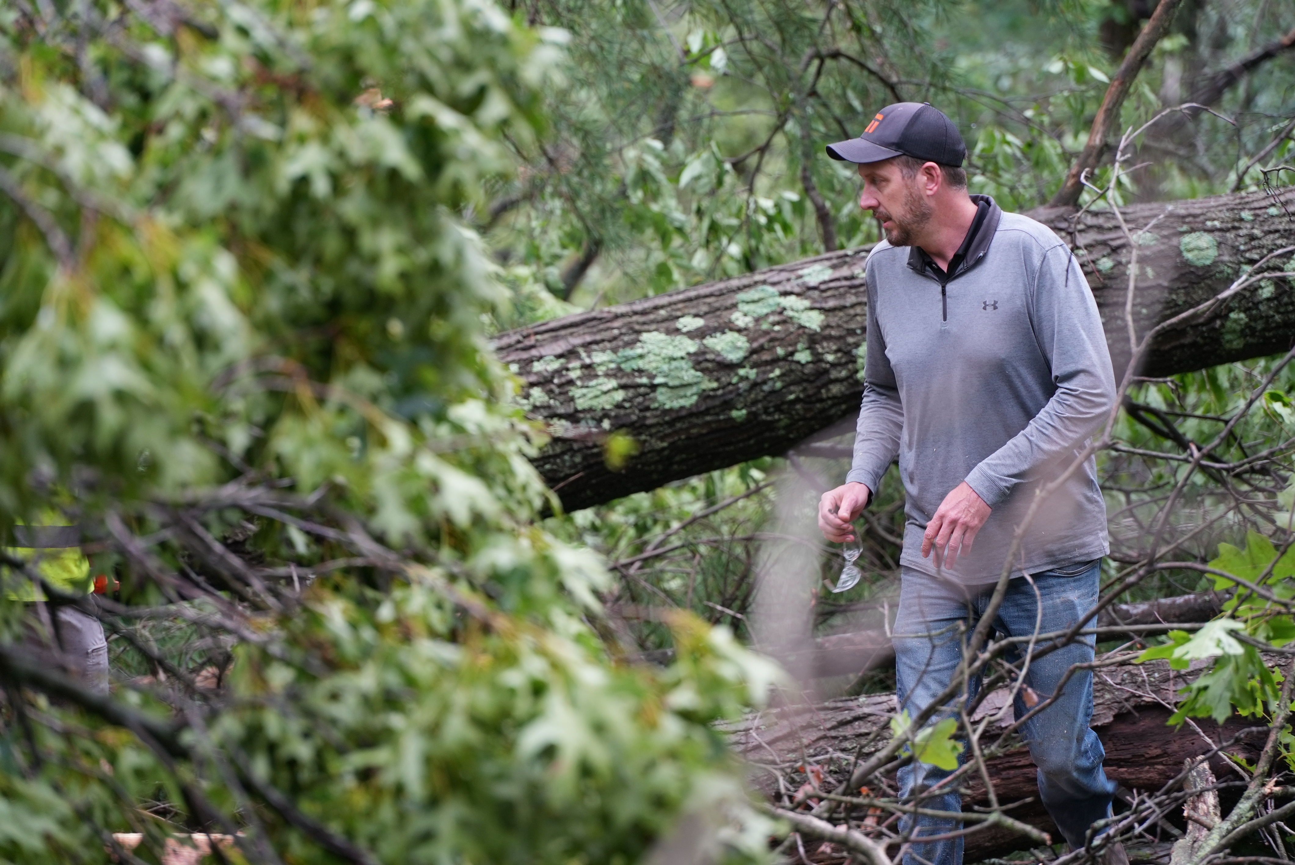 Whitehall tree down 1.jpeg