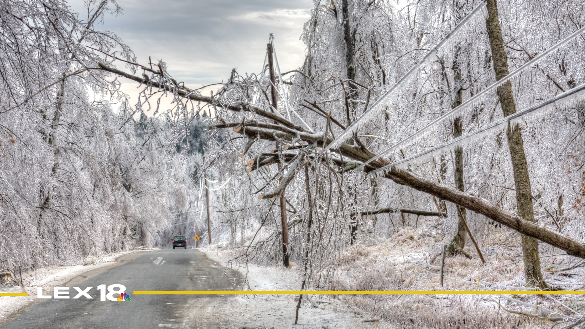 Featured Image Custom Edit (7).png