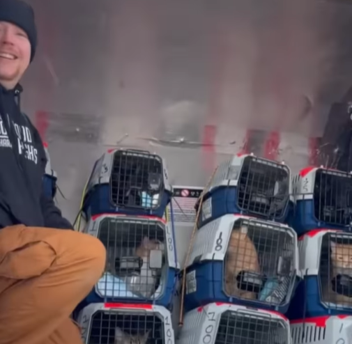 Screenshot 2025-02-19 193356.png