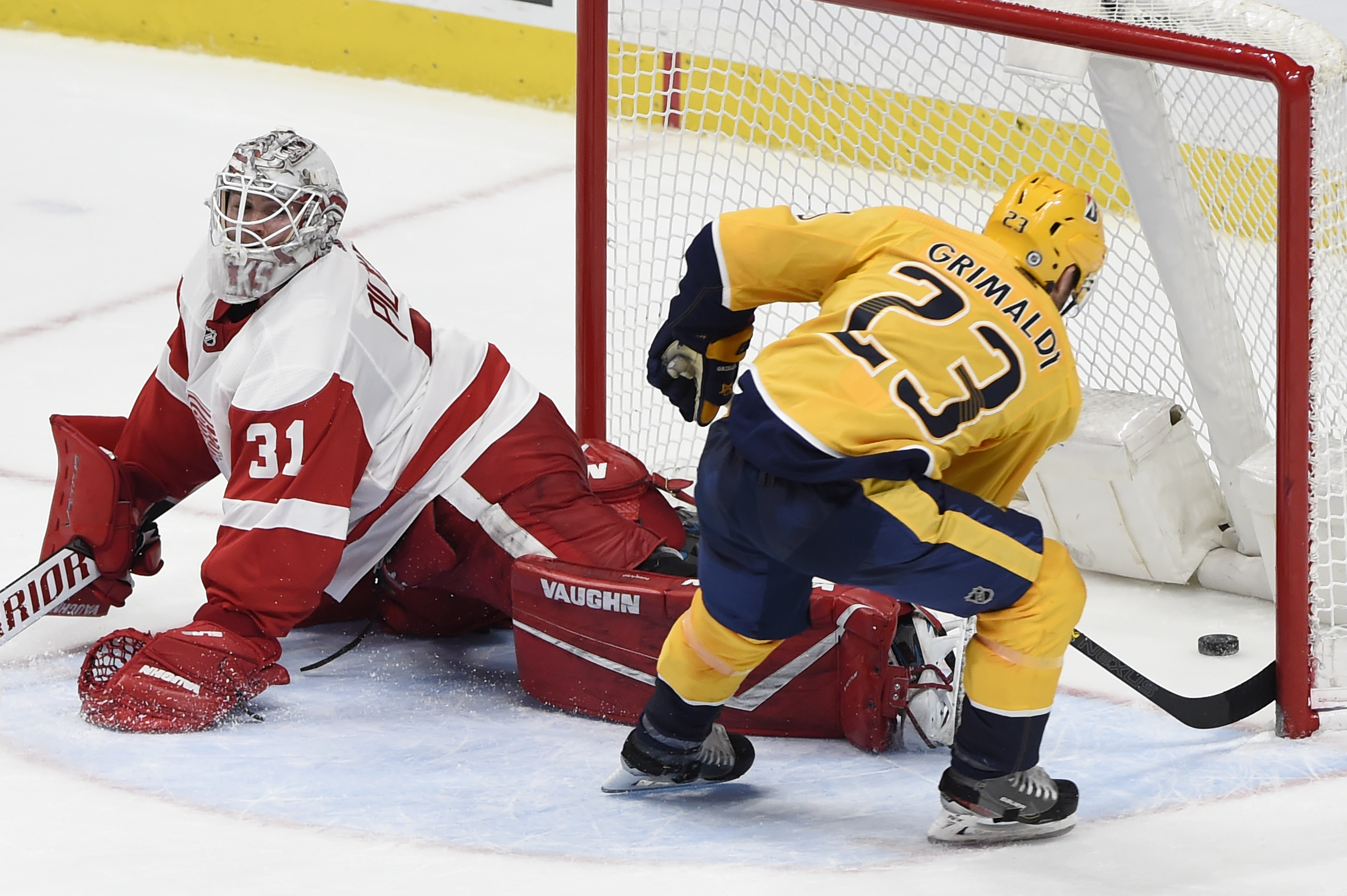Rocco Grimaldi Red Wings Predators Hockey
