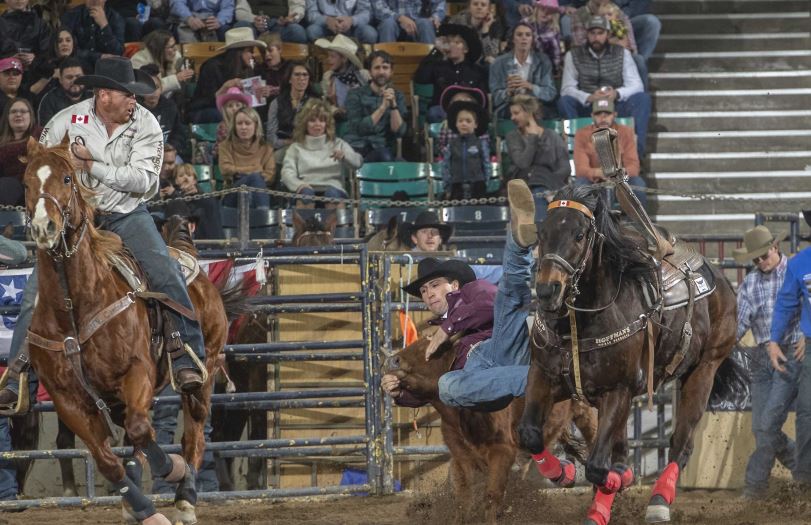 PRCA Steers Jesse Brown.JPG