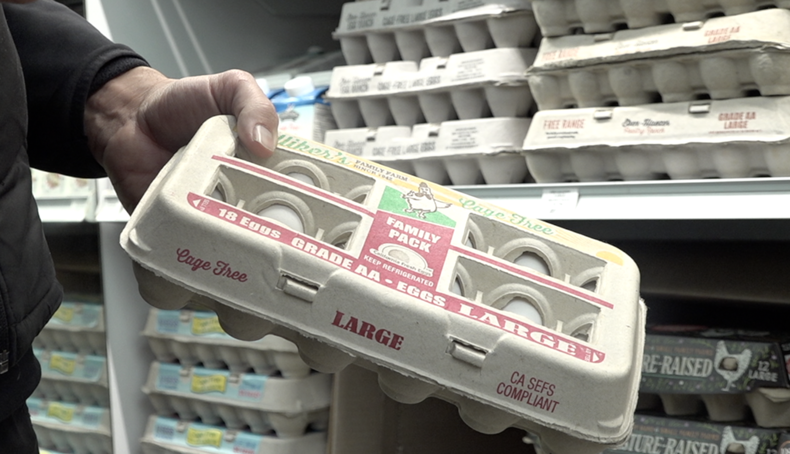 Egg shortages, prices rising because of bird flu