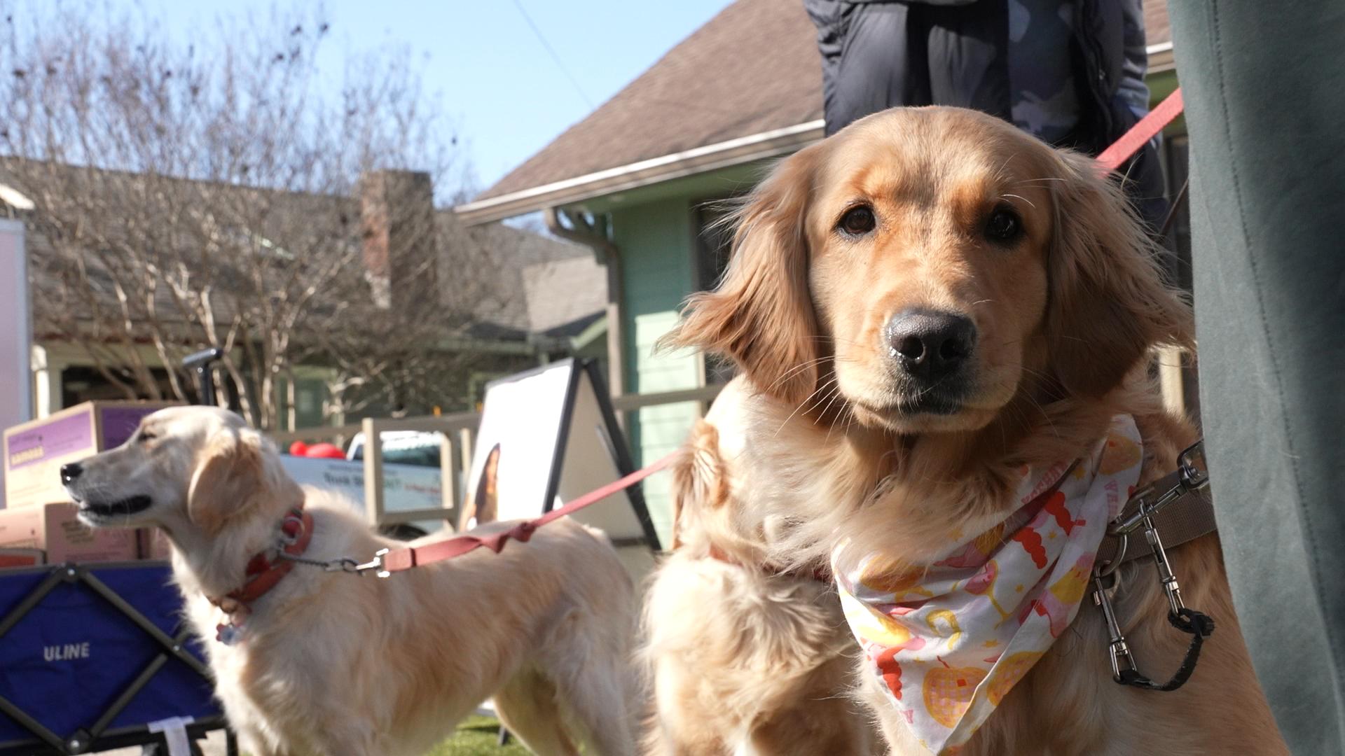 12 South Golden Hour