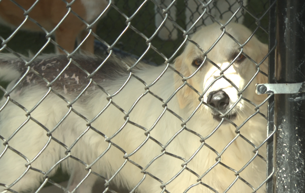 Screenshot 2026-04-08 183752.png