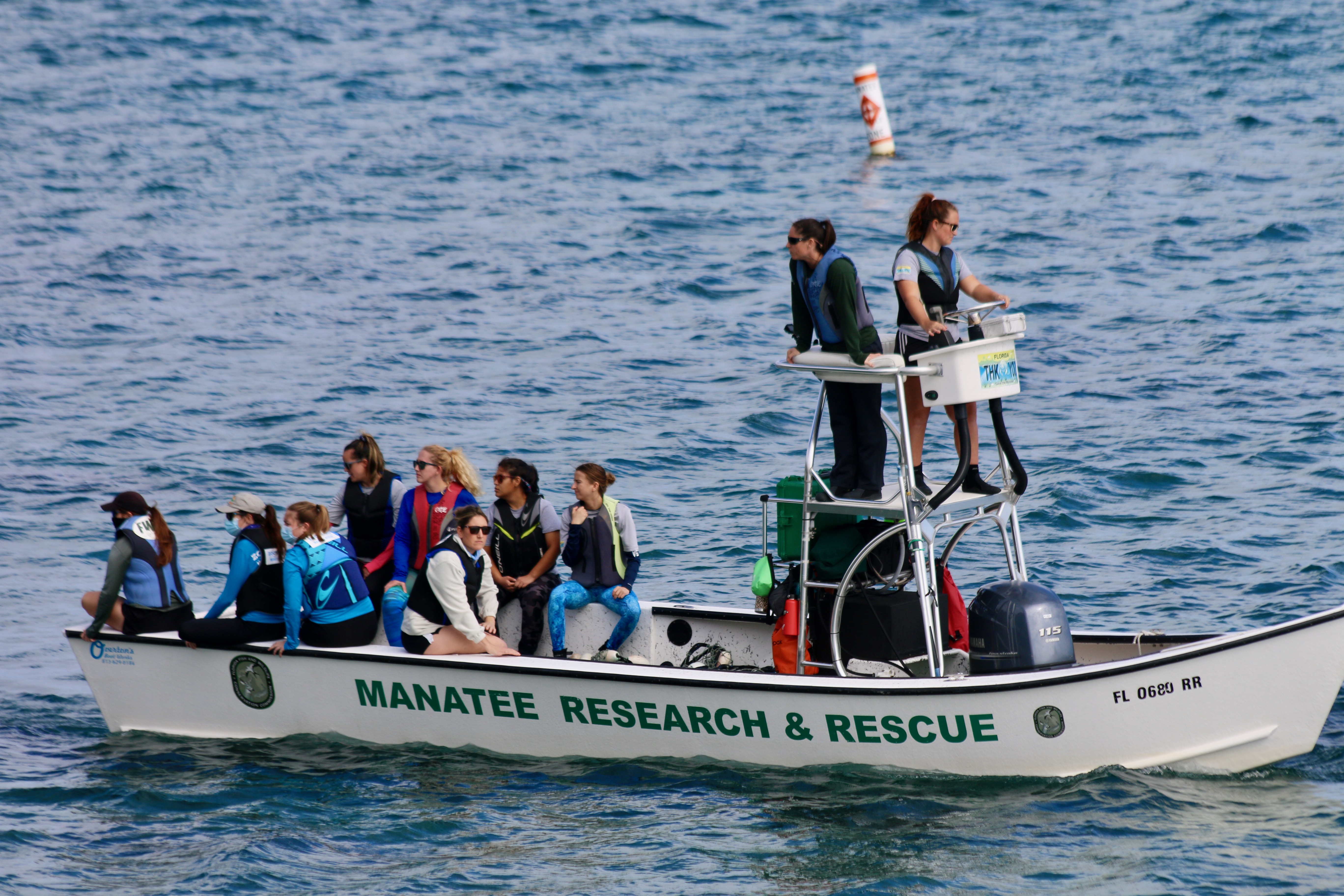 Today, A search and rescue mission had a disappointing outcome for one injured manatee.
