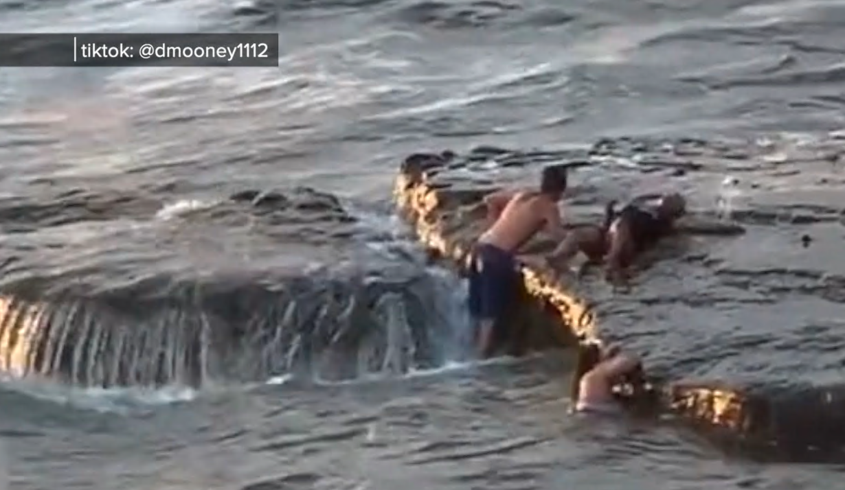 Carnegie Medal rescue.png