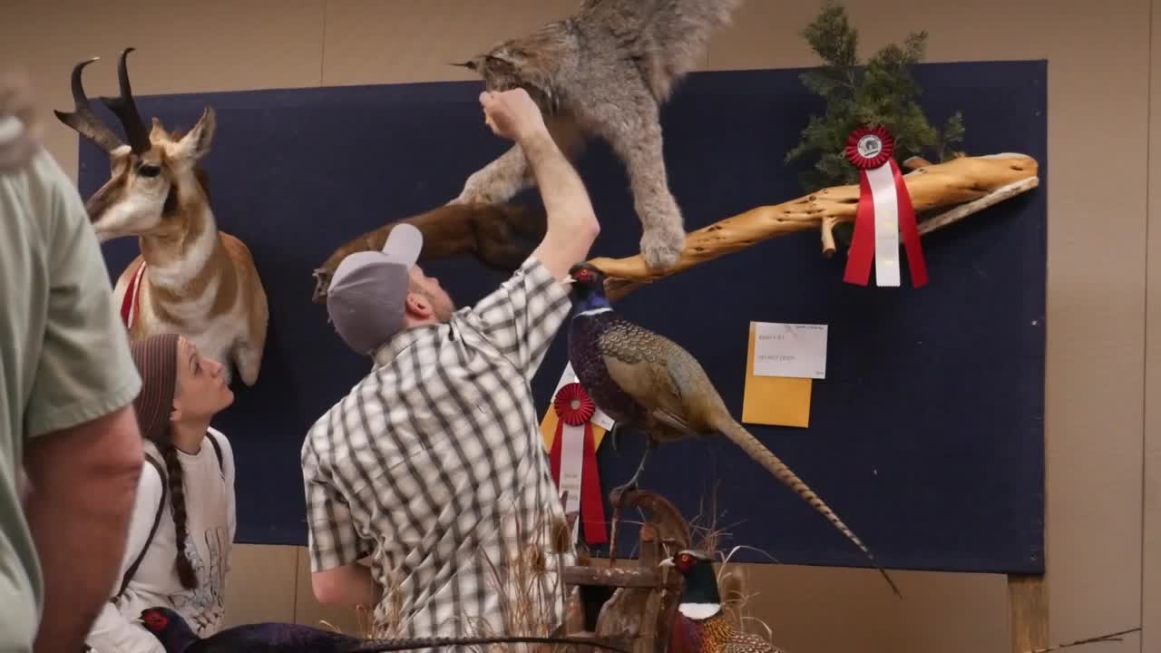 taxidermy
