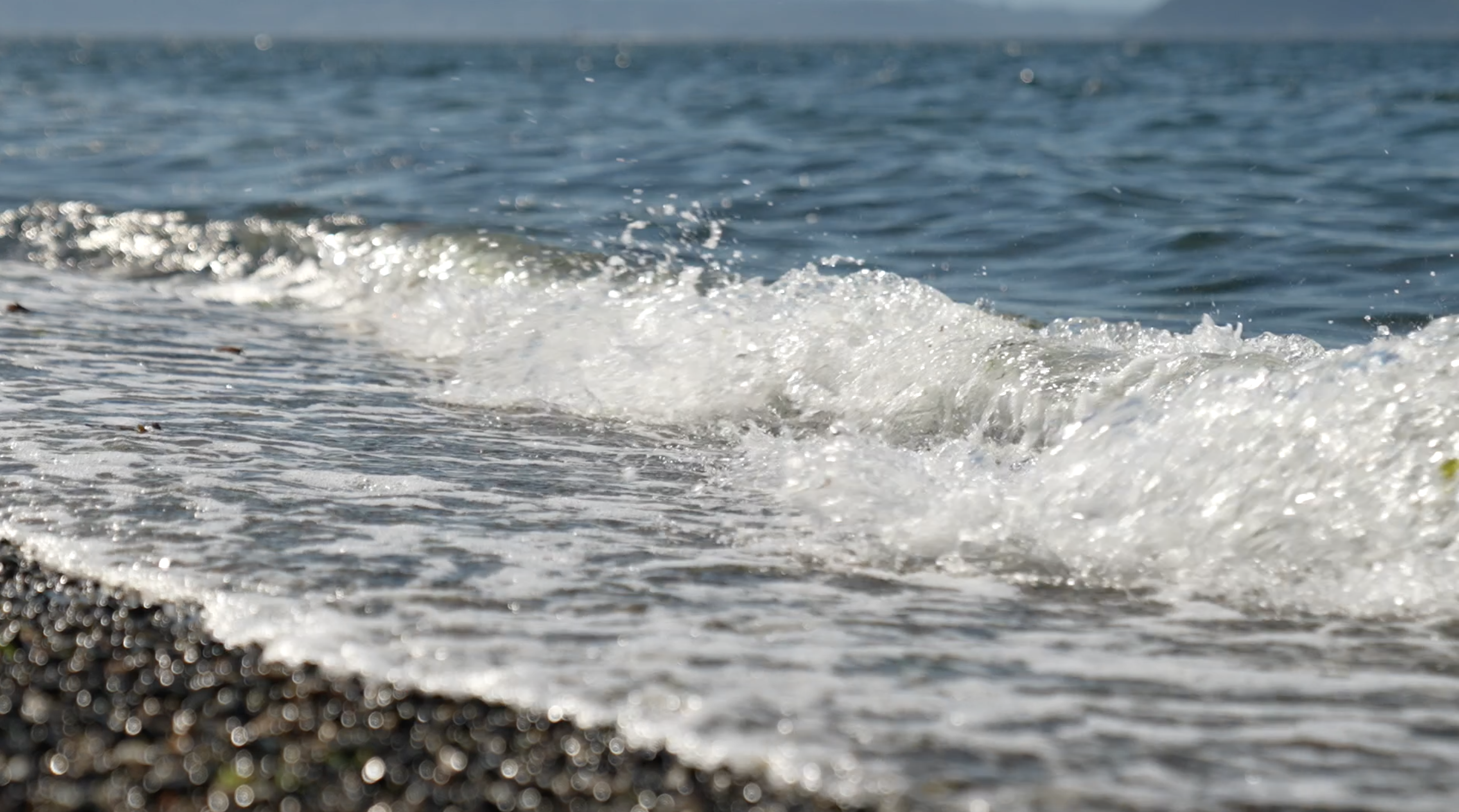 racial disparities in swimming