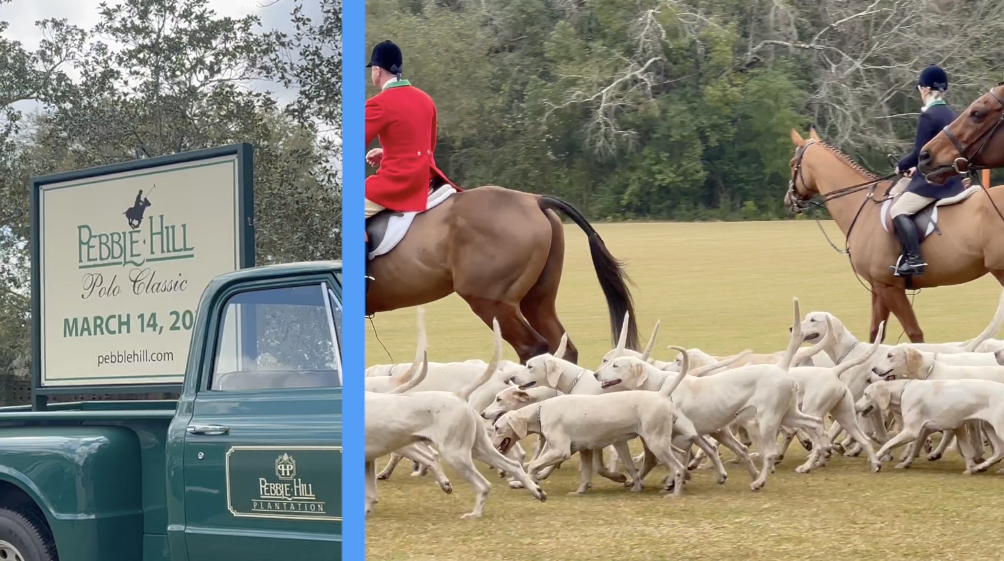 Polo Hall of Fame inducts Pansy Poe, the woman who disguised her identity to play the sport she loved