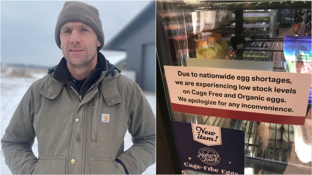 Wisconsin farm owner weighs in on egg shortages