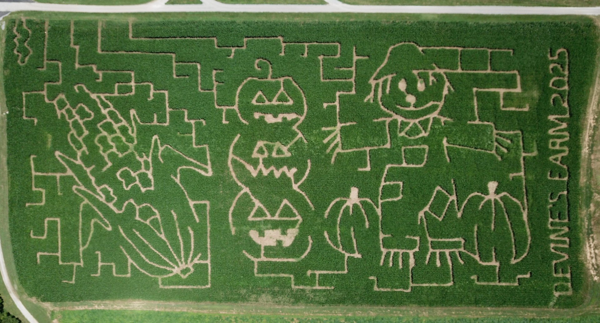 MAZE.png
