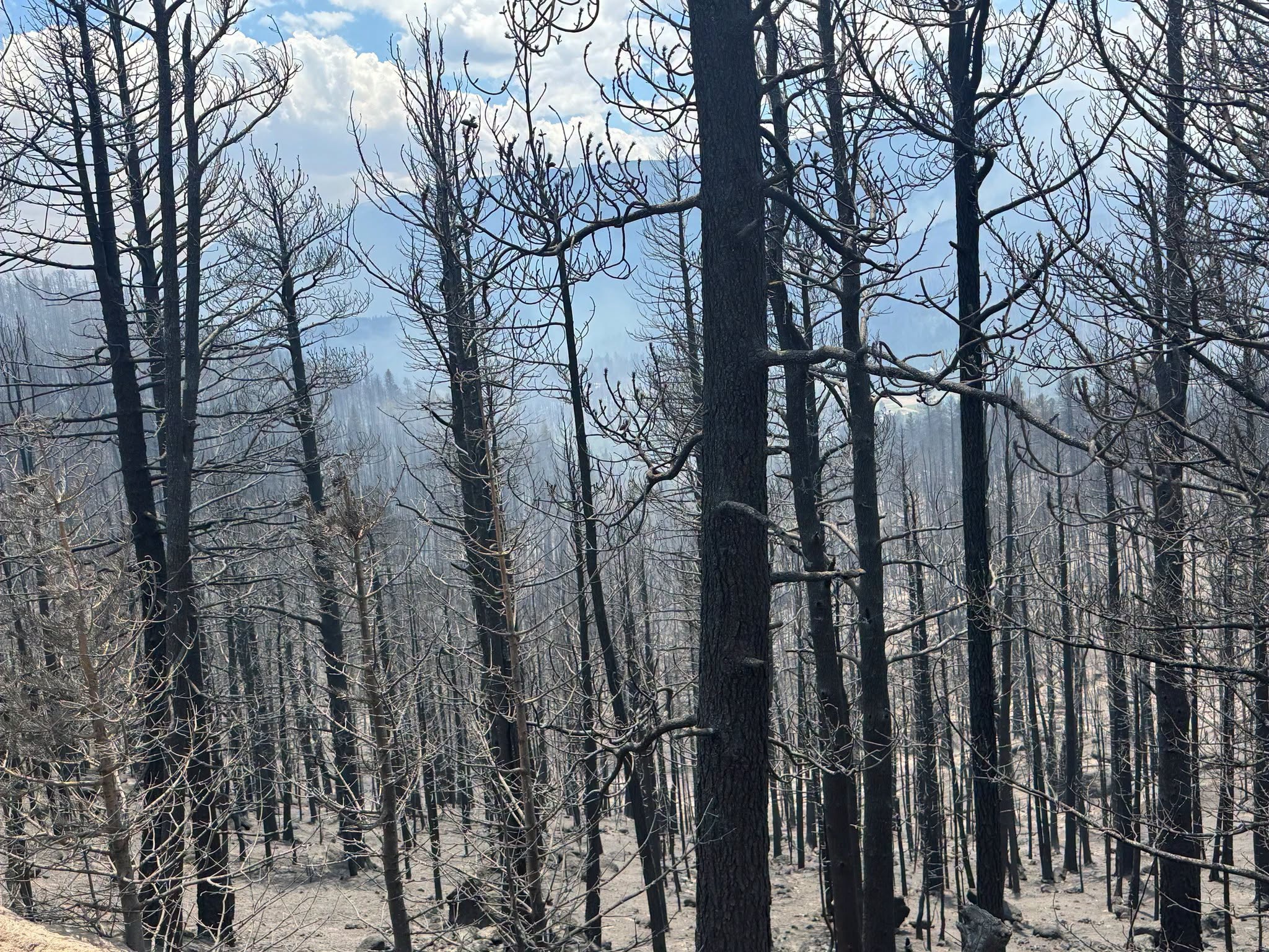Aspen Acres Fire June 30 2026_Pueblo County Sheriff's Office