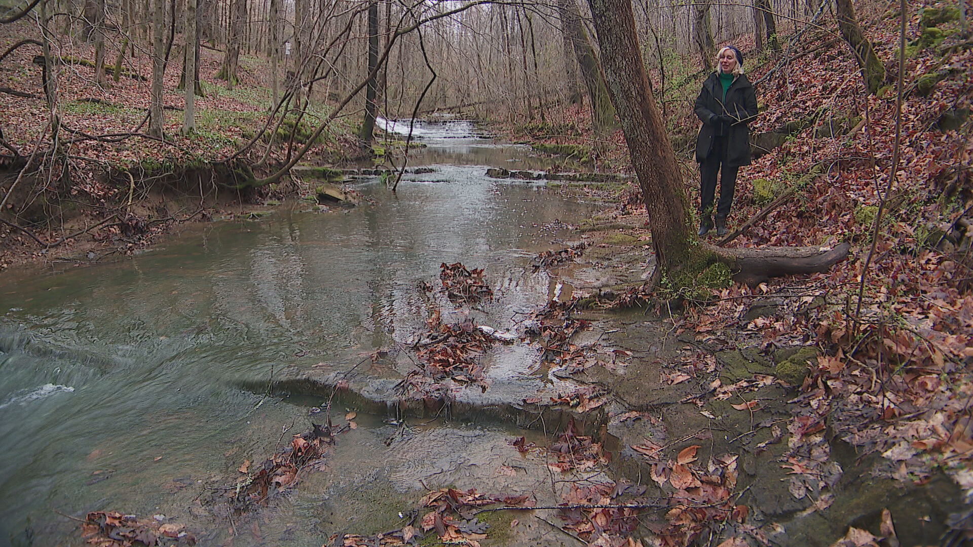 Dickson County's Trace Creek