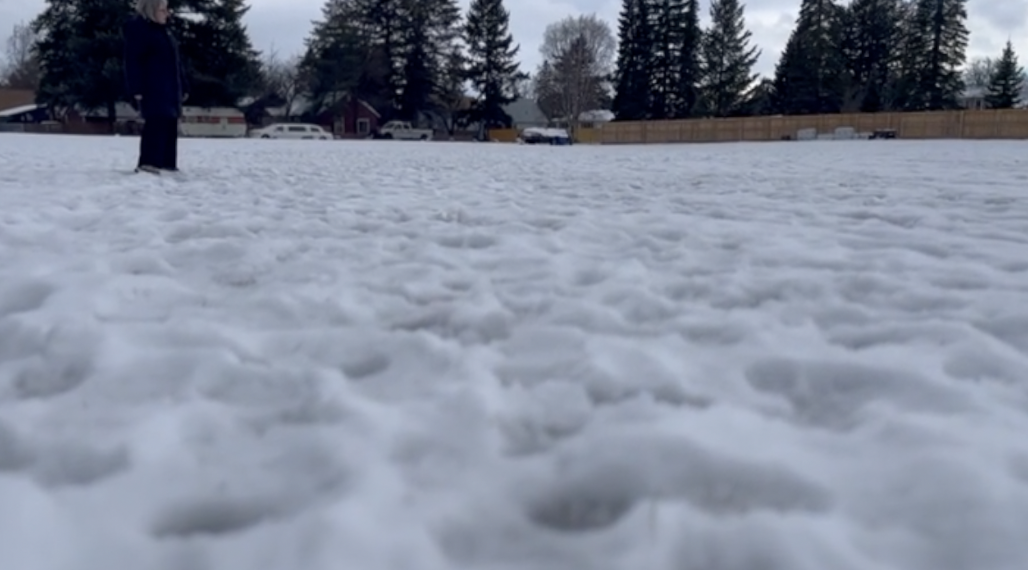 Habitat for Humanity 