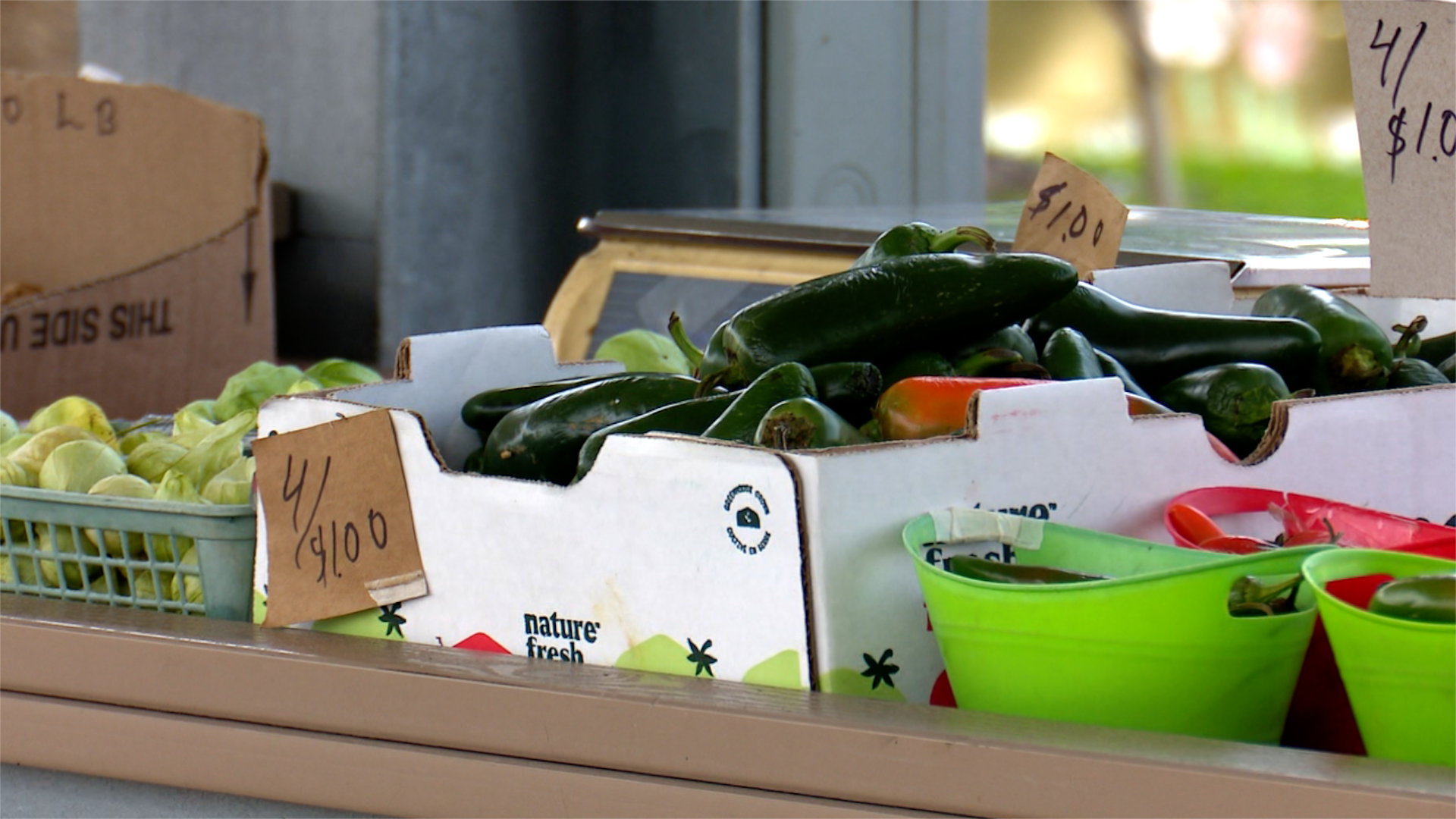 Fall Harvest Festival returns to Muskegon Farmers Market this Saturday