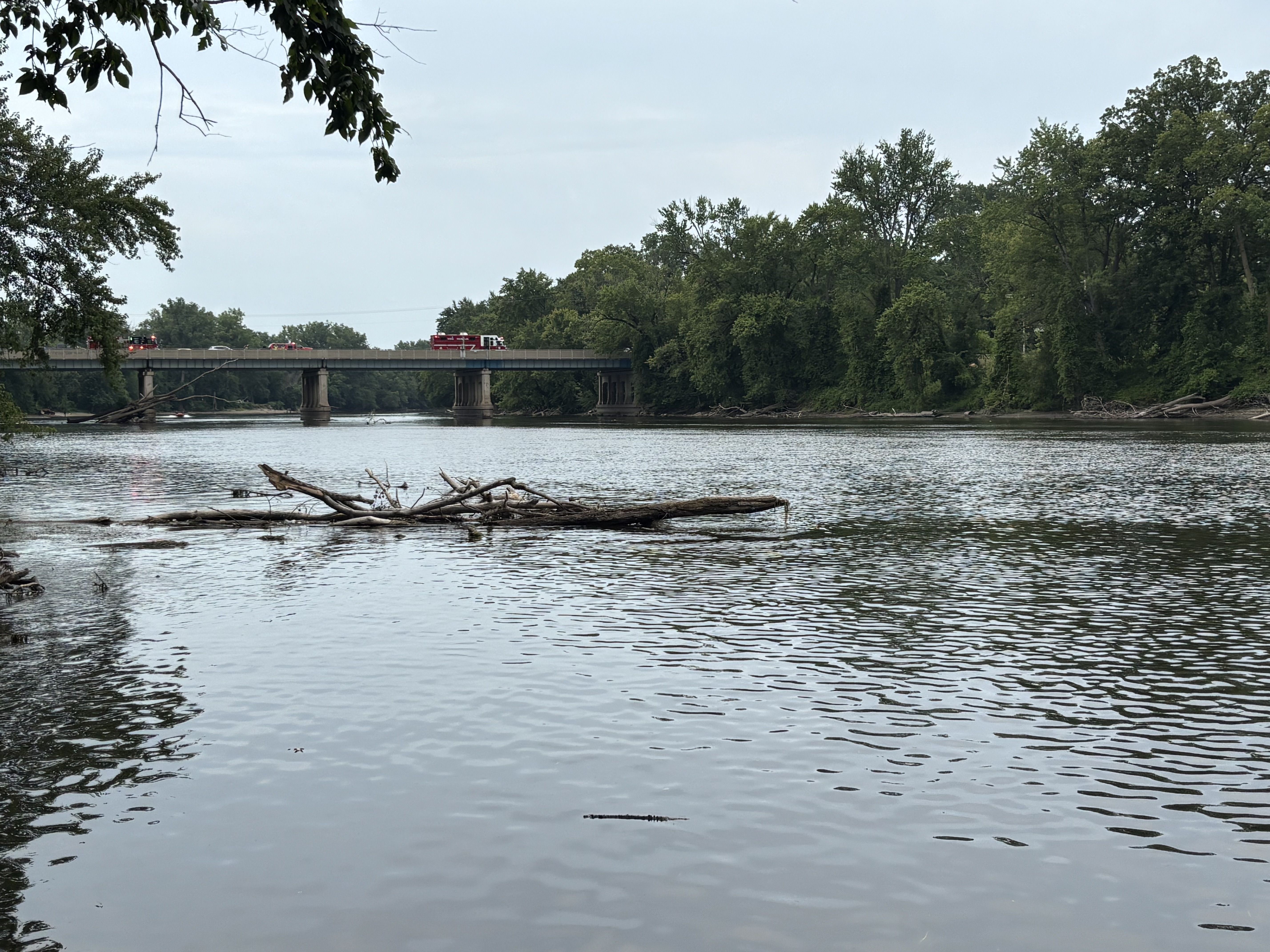 Search for missing man in Grand River