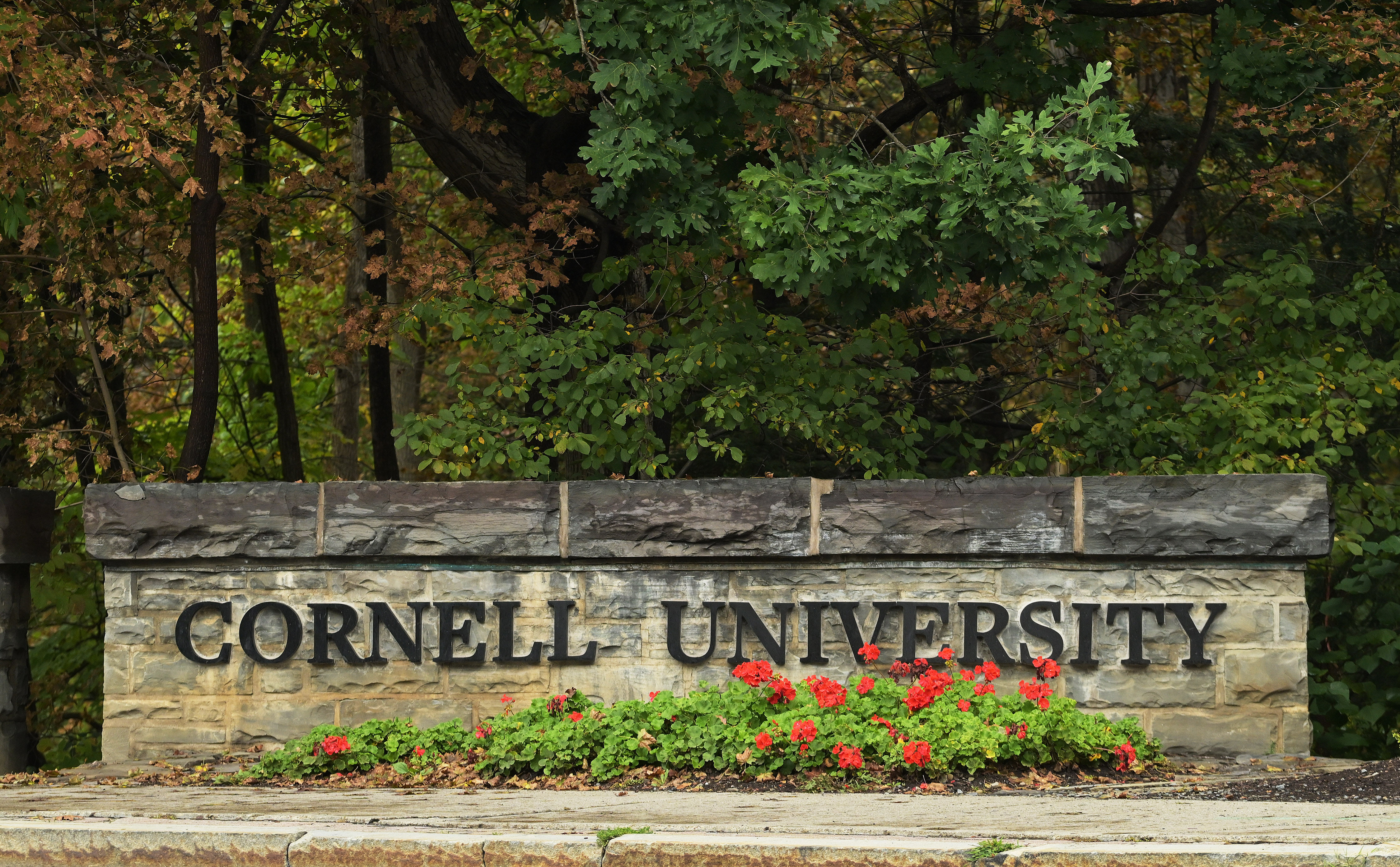 A Cornell University sign stands in Ithaca, N.Y., Monday, Sept. 28, 2026.