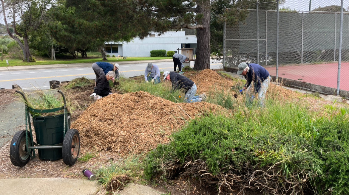 Volunteers helping at Los Osos Community Park