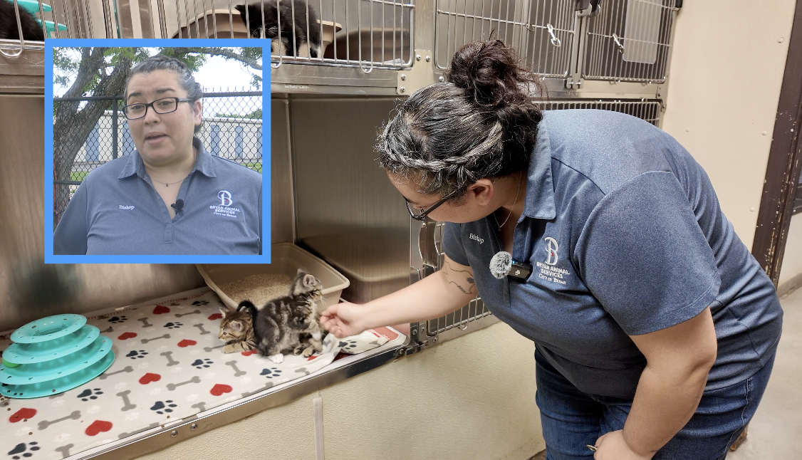 Bryan Animal Center gets new facility as city moves forward with long-awaited plans