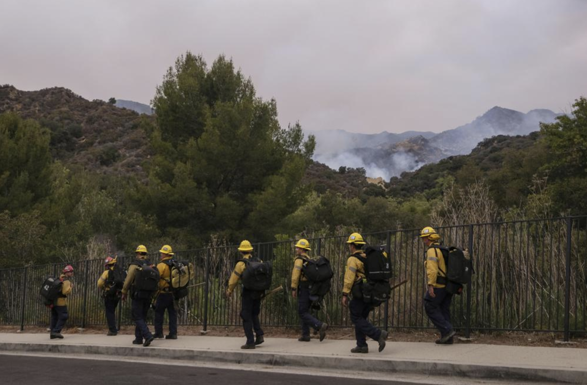 Pacific Palisades Wildfire 