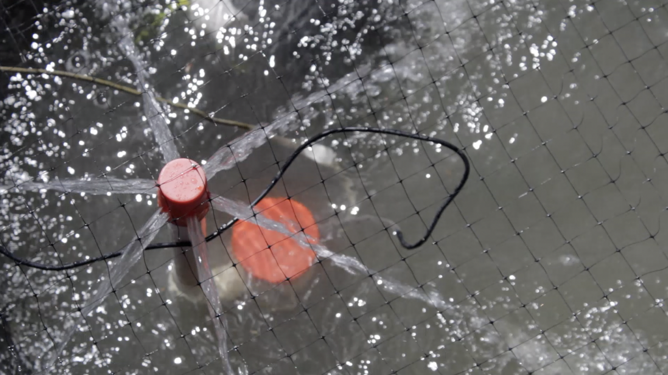 Mosquito trap
