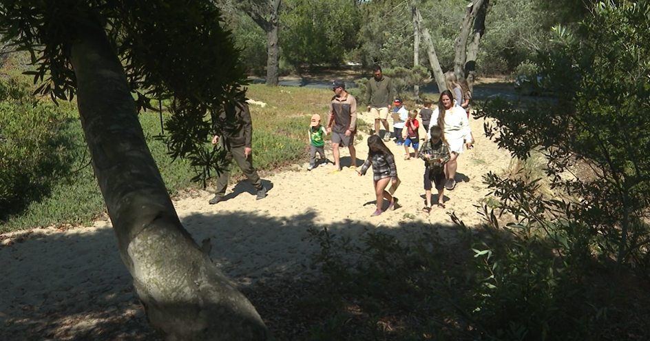 Screenshot 2025-06-21 182546.png