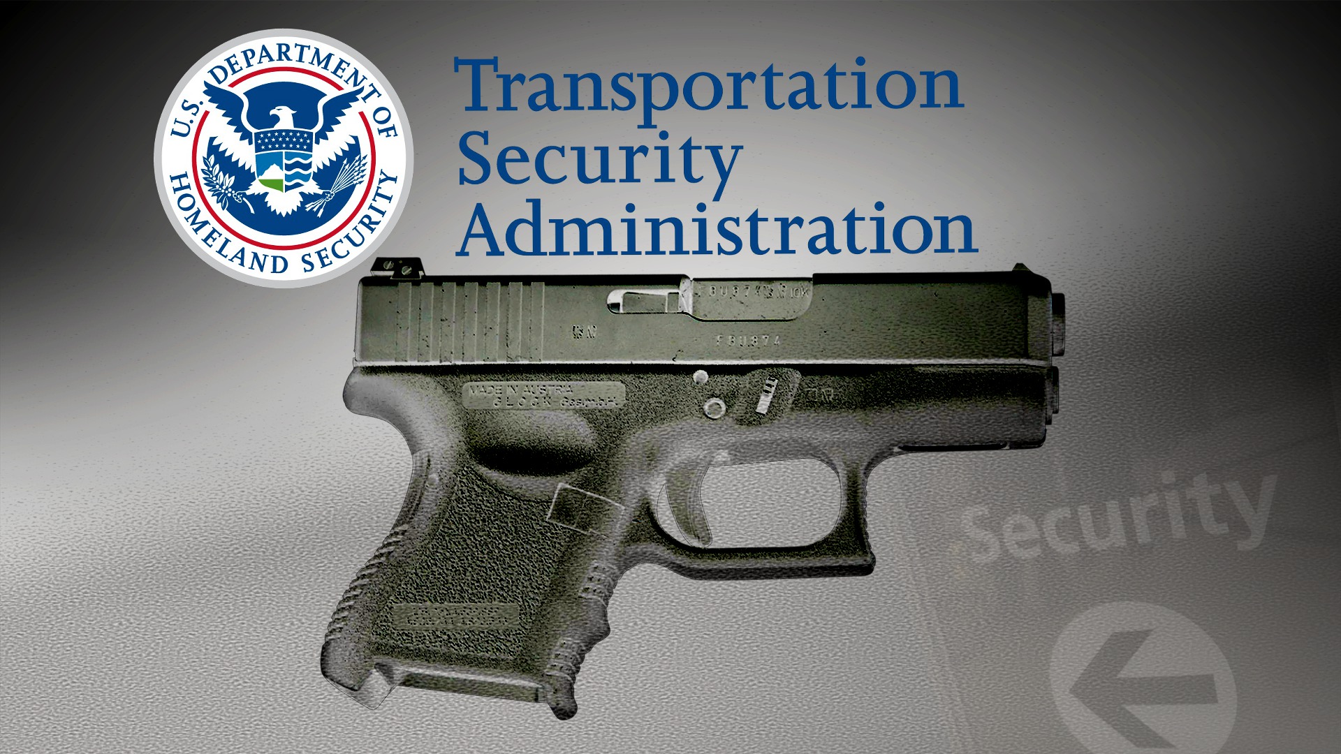 TSA Guns
