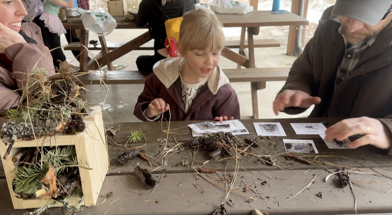 Bug Hotels