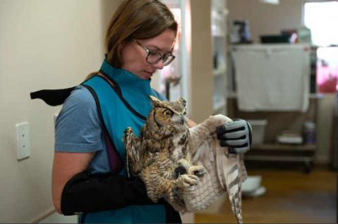 Screenshot 2025-11-18 101810.png