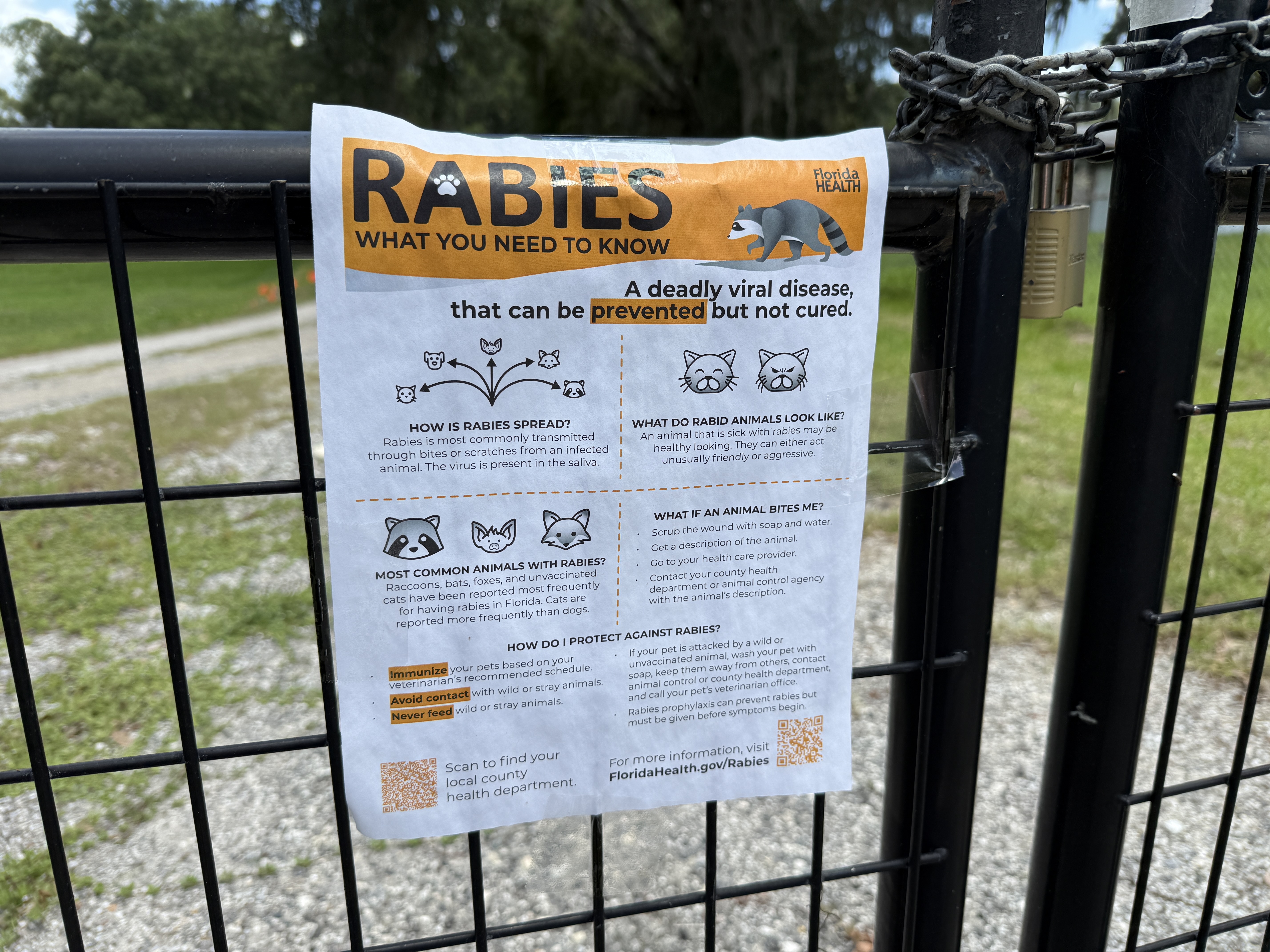 Rabies