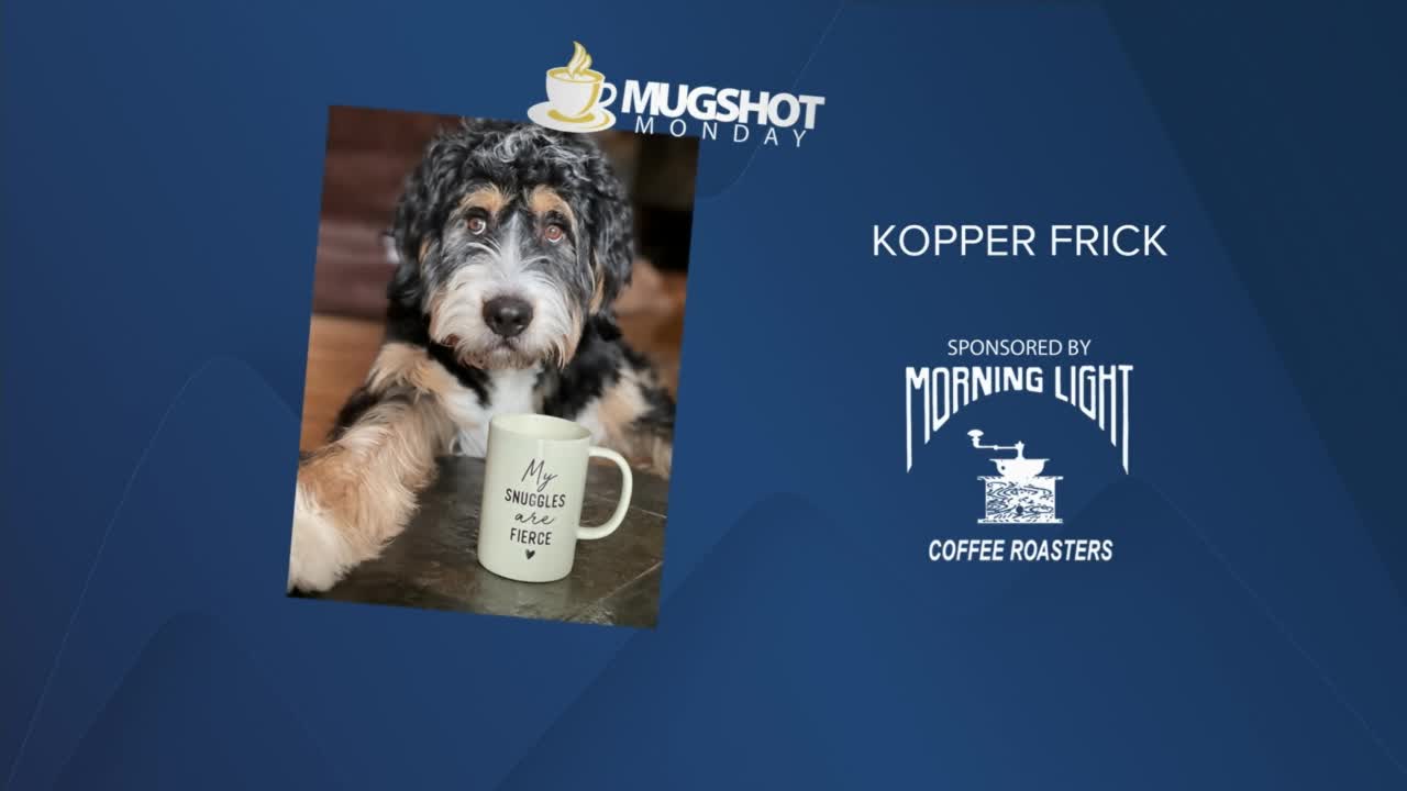 Mug Shot Monday (February 7, 2022)