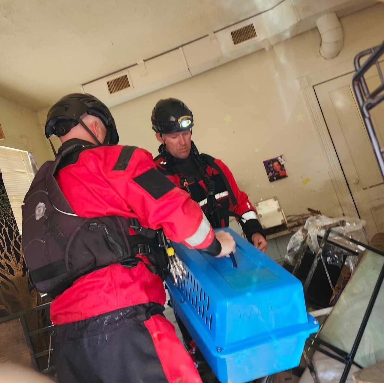 rescue 1