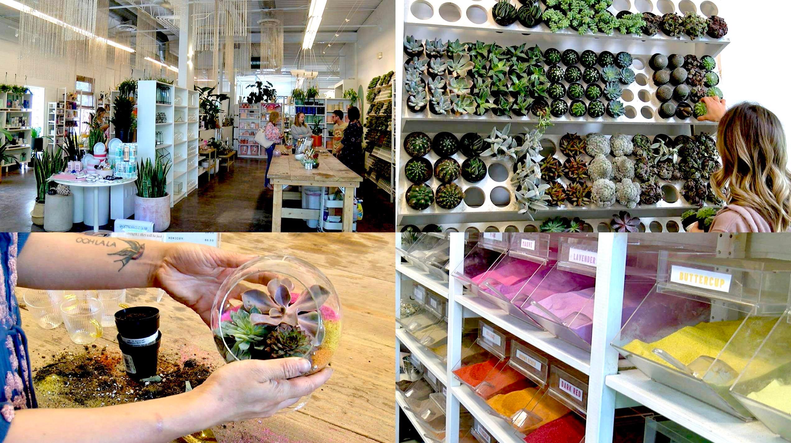 Jade & Clover: Phoenix shop that has a DIY terrarium bar. 