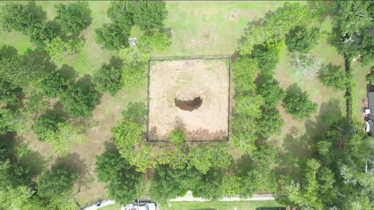 seffner sinkhole