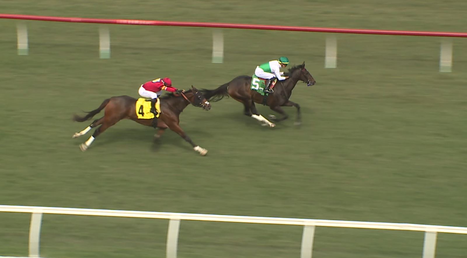 del mar racing.JPG