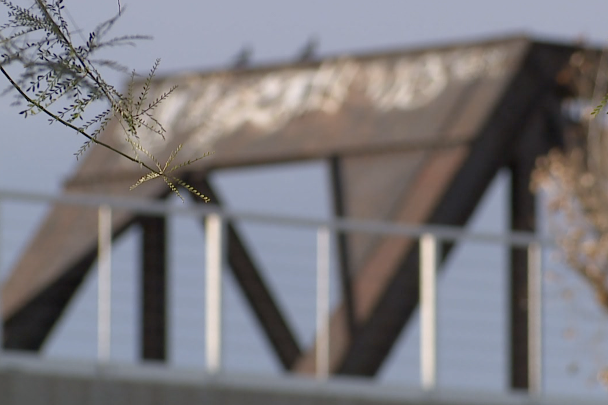 Vulgar graffiti vandals in Tempe 