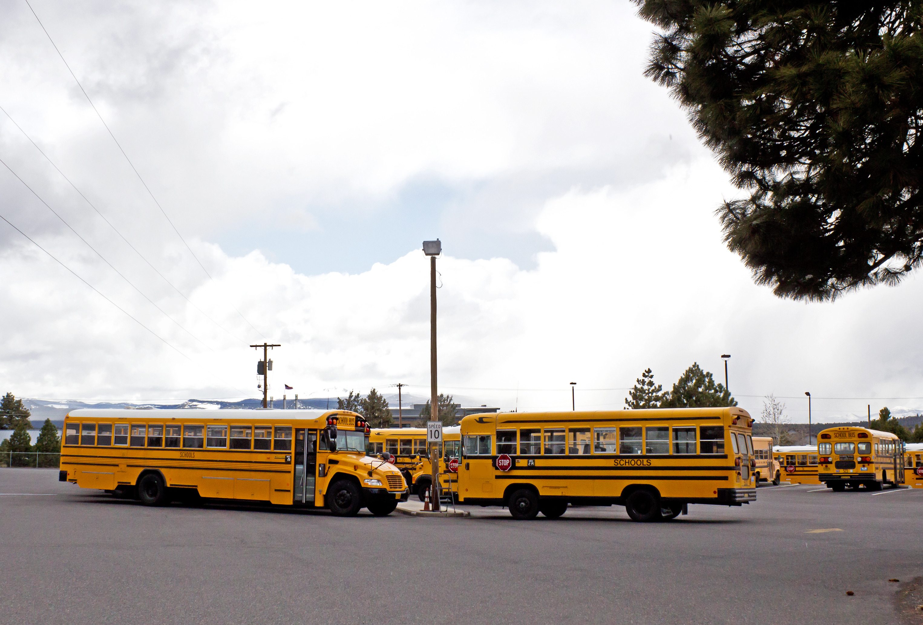 school-bus_zyCiIvtu (1).jpg