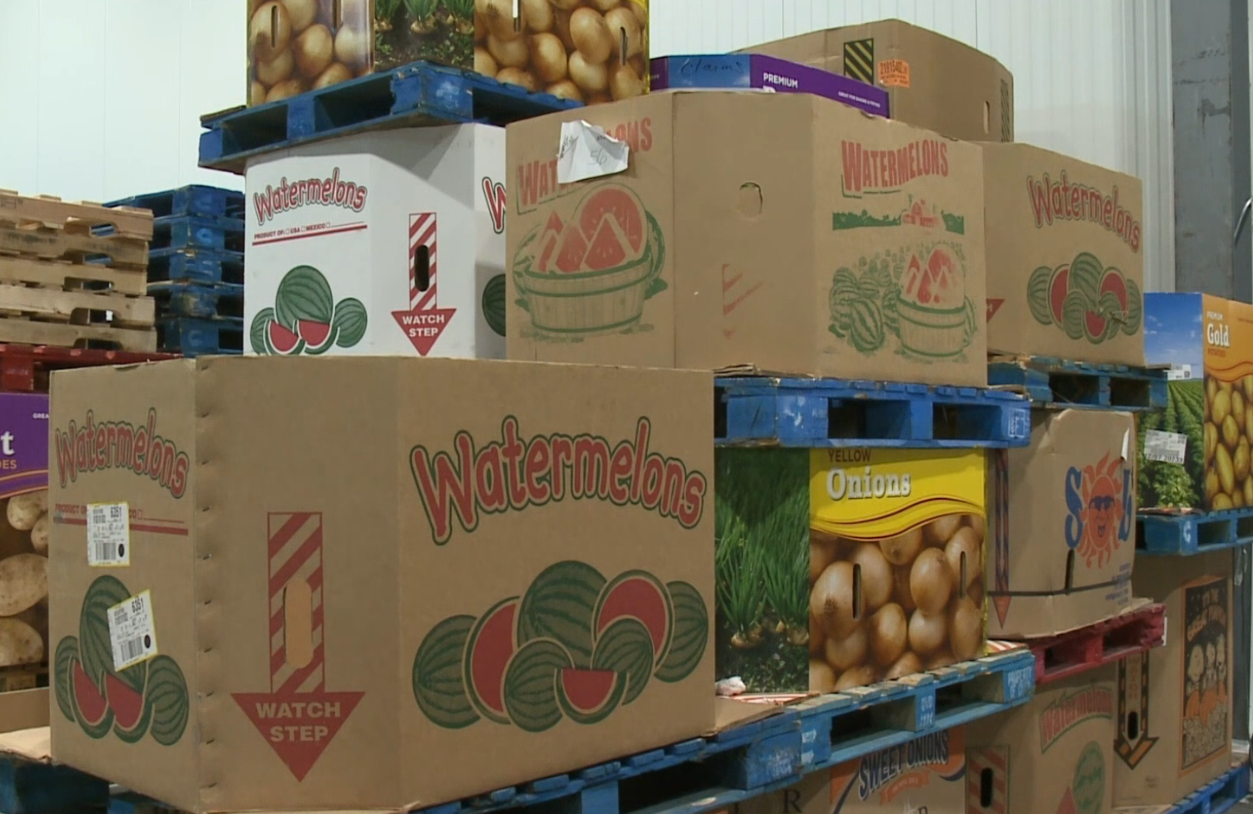 Boxes of produce at food bank