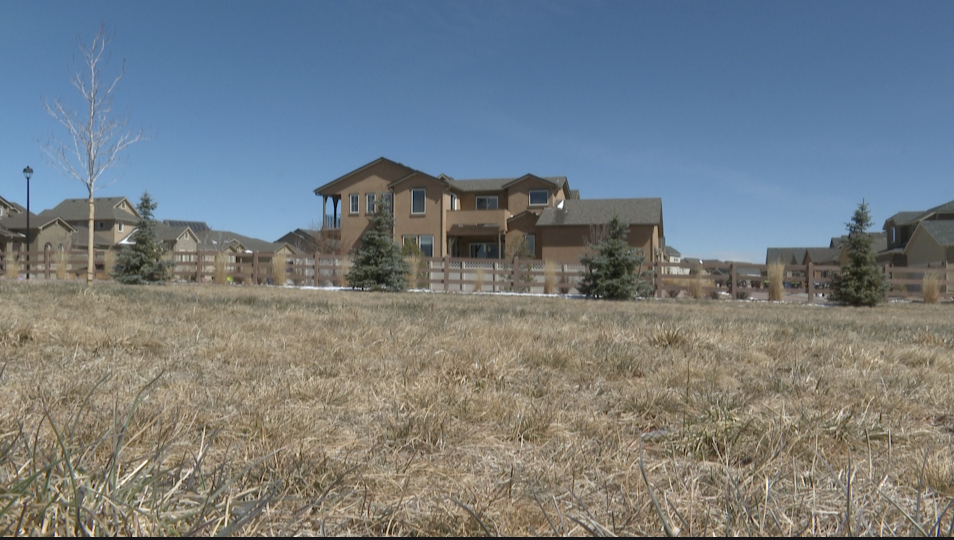 Landscaping Colorado Springs