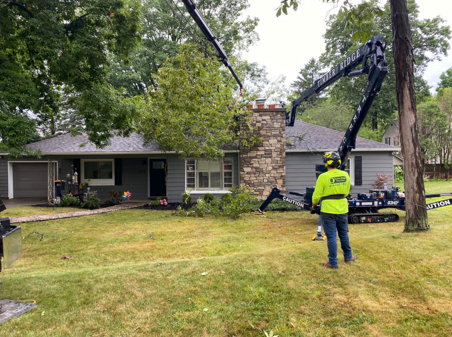 Problem Solvers: AG's office investigates Comstock Park tree removal company for 'grossly excessive prices'