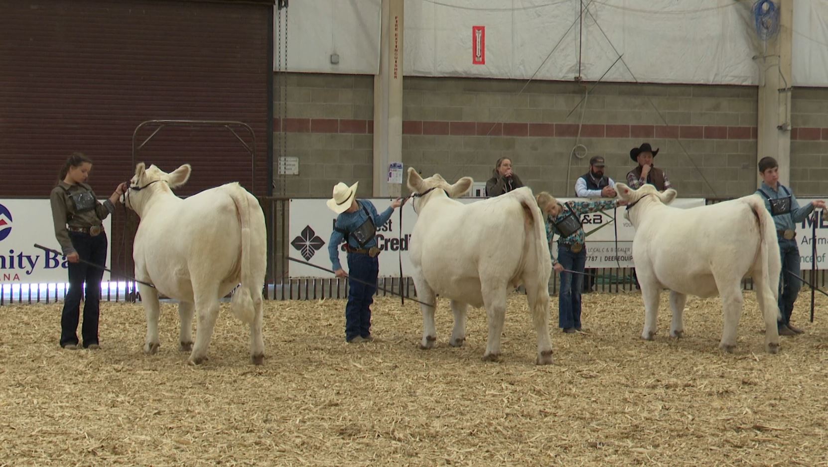 Nile Merit Heifer program brings kids from all over the country to Billings - Vimarsana News