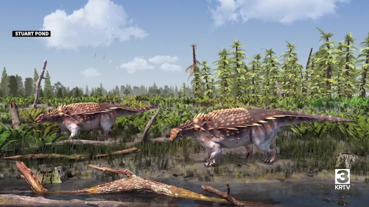 Undiscovered species of dinosaur surprises researchers