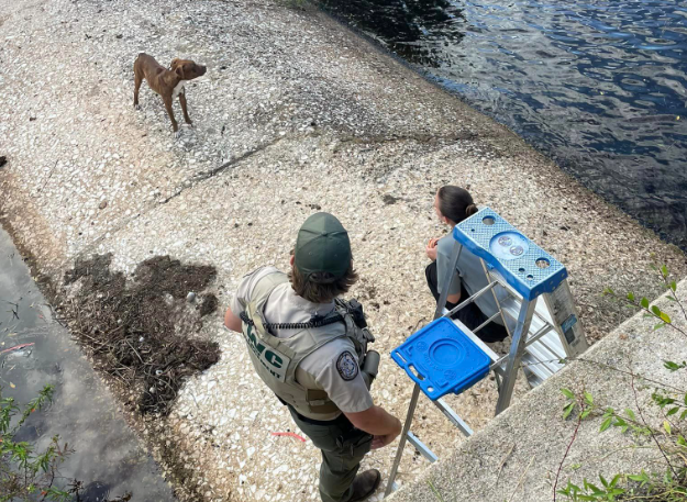 A dog trapped  up on a spillway with a 12-foot drop around the rim canal with no way to safely escape was rescued.  Oct. 24, 2023 .png
