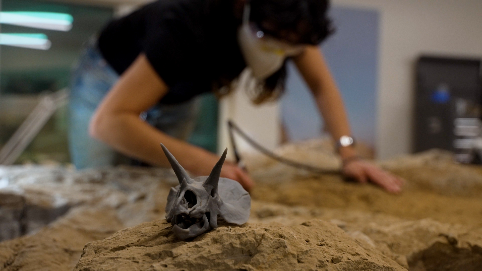 working on triceratops.jpg