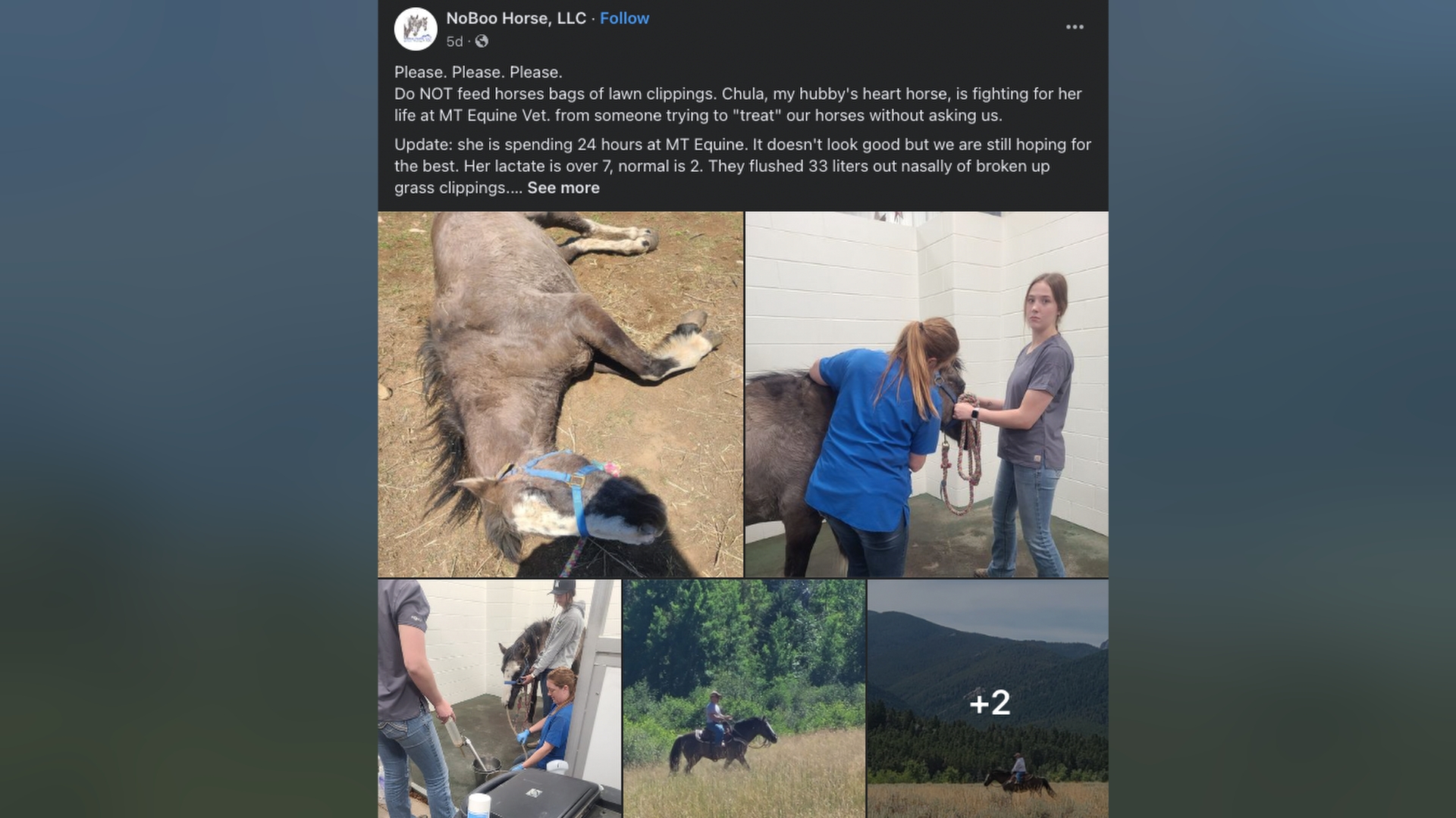 Horse dies from grass clippings