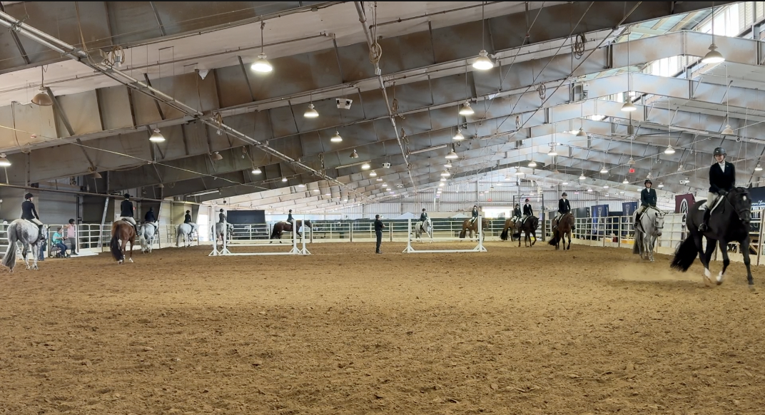 National Snaffle Bit Association picture